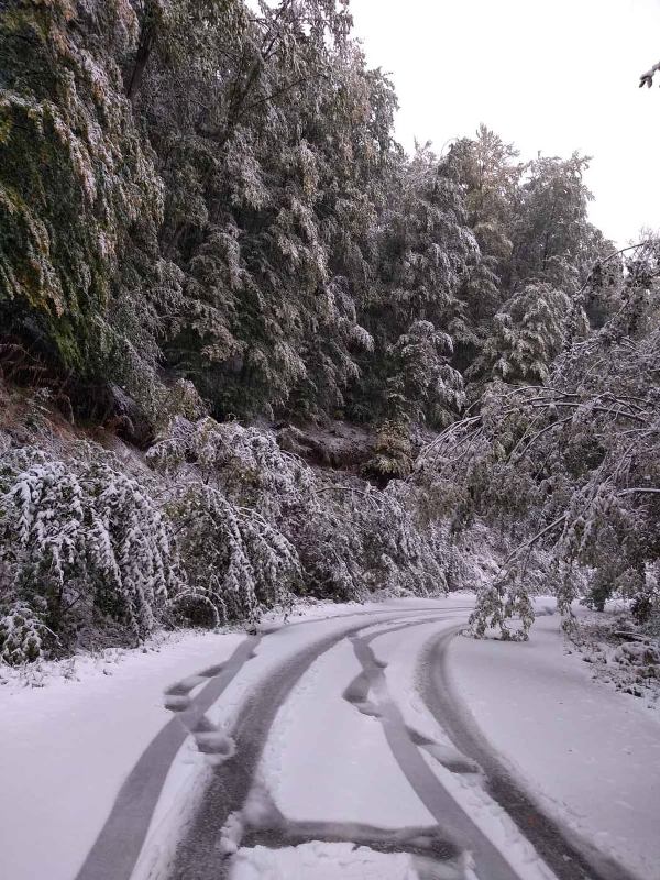 Χιόνισε στη Φλώρινα
