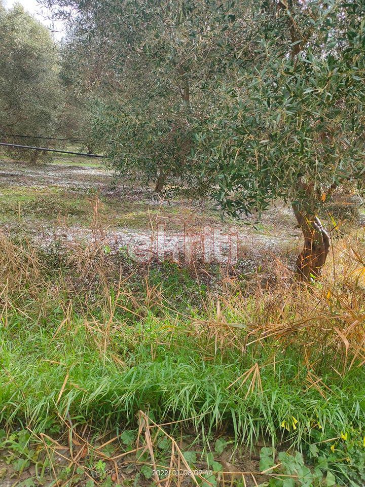 Κρήτη: Έριξε χαλάζι σε μέγεθος καρυδιού στο Ηράκλειο