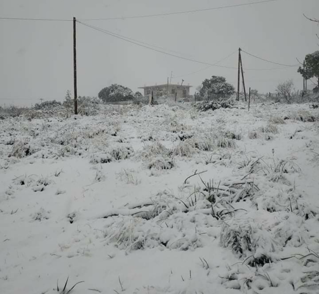 Κακοκαιρία «Ελπίδα»: Σφοδρή χιονόπτωση σε Χαλκίδα και Κύμη