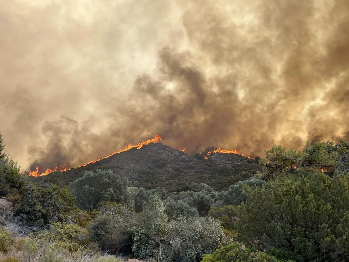 Δύσκολες ώρες συνεχίζουν να ζουν οι κάτοικοι της Ρόδου με τη μεγάλη πυρκαγιά που μαίνεται στο νησί εδώ και μέρες.