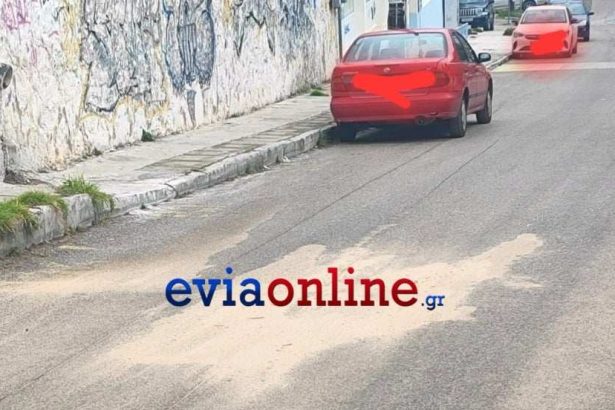 Δολοφονία στη Χαλκίδα: 86 μαχαιριές στο σώμα του 43χρονου