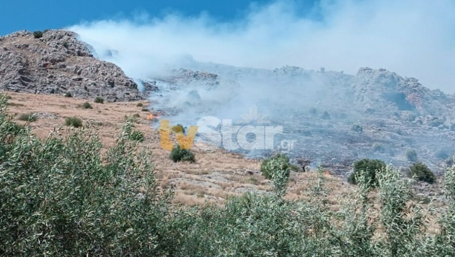 Λιβαδειά: Μεγάλη φωτιά στο Ακόντιο