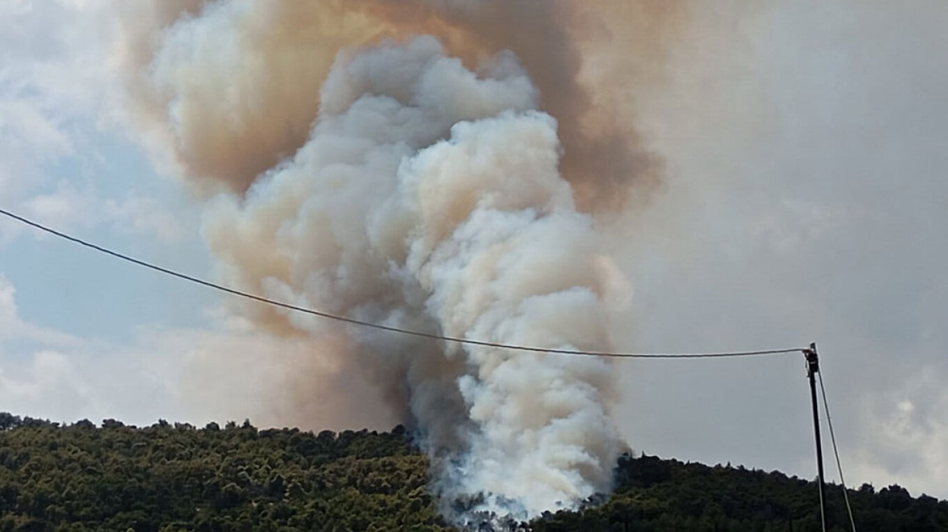 Συναγερμός για φωτιά στα Γλυκά Νερά κοντά στον οικισμό - Σηκώθηκαν εναέρια μέσα, μήνυμα από το 112 Ισχυρές πυροσβεστικές δυνάμεις στο σημείο - Δεν έχει αέρα και η φωτιά δεν πάει προς τον αστικό ιστό - Δείτε βίντεο και φωτογραφίες glika-nera-arthrou Συναγερμός έχει σημάνει στην Πυροσβεστική για φωτιά στα Γλυκά Νερά. Στο σημείο έχουν σπεύσει ισχυρές επίγειες δυνάμεις ενώ επιχειρούν και εναέρια μέσα. Συγκεκριμένα, επιχειρούν 100 πυροσβέστες με 6 πεζοπόρα τμήματα και 25 οχήματα ενώ συνδράμουν και 9 αεροσκάφη κ