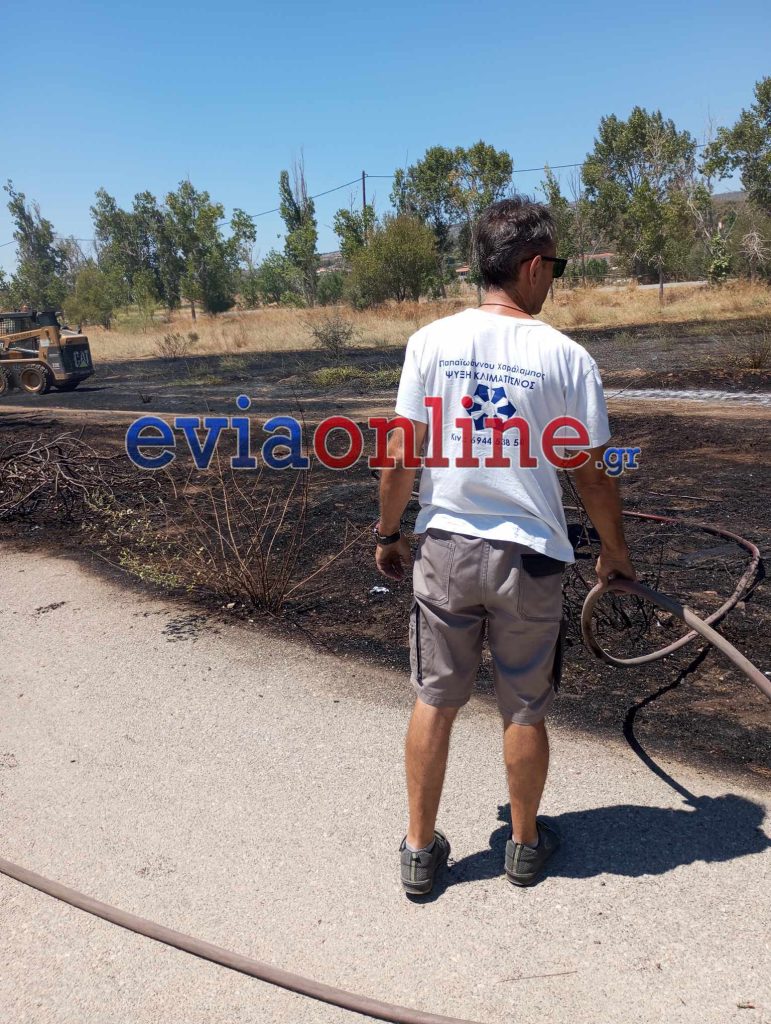 Εύβοια: Φωτιά στον Περιφερειακό της Ερέτριας