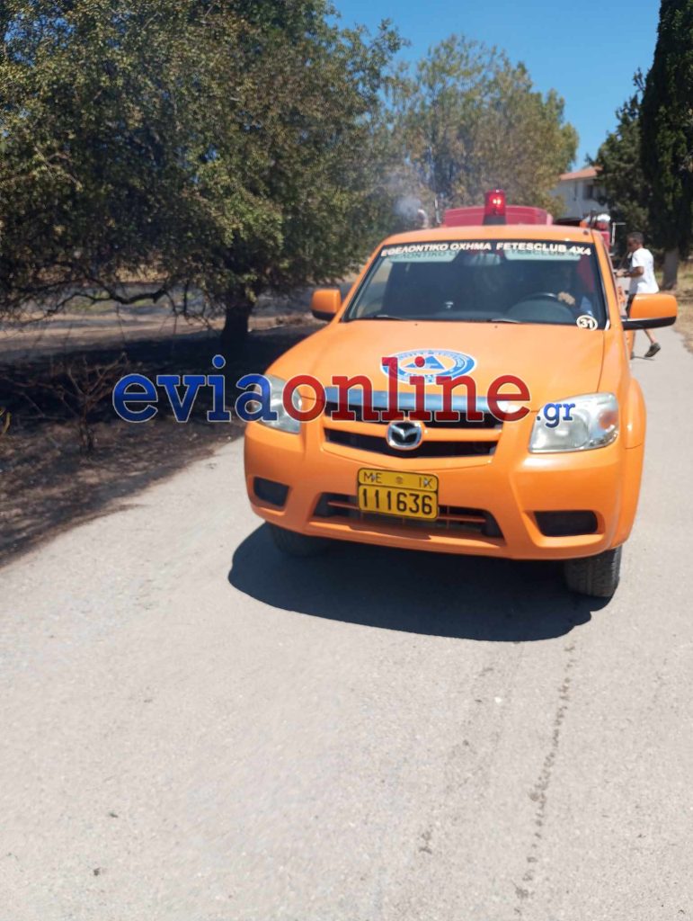 Εύβοια: Φωτιά στον Περιφερειακό της Ερέτριας