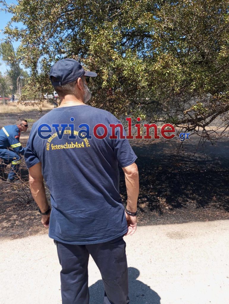 Εύβοια: Φωτιά στον Περιφερειακό της Ερέτριας