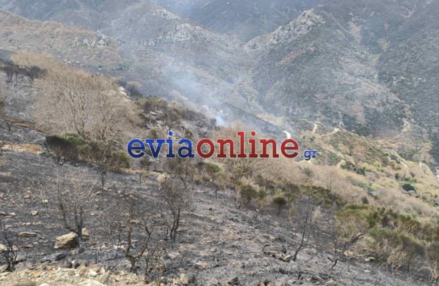 Φωτιά στην Κάρυστο