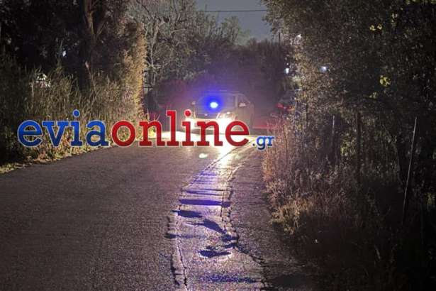 Εύβοια: 75χρονος έχασε το σπίτι του σε πλειστηριασμό, σκότωσε τον νέο ιδιοκτήτη και αυτοκτόνησε
