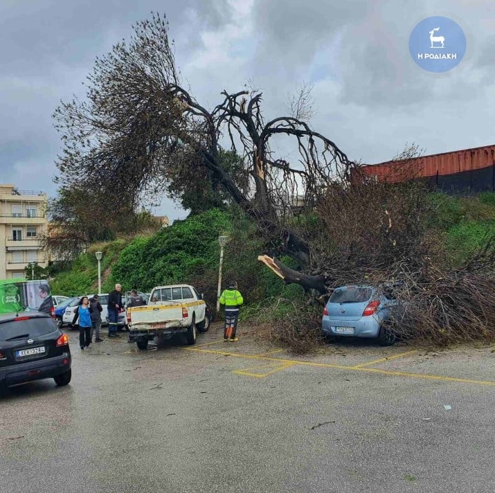Ανεμοστρόβιλος «χτύπησε» την Ρόδο: Δέντρα έπεσαν σε αυτοκίνητα