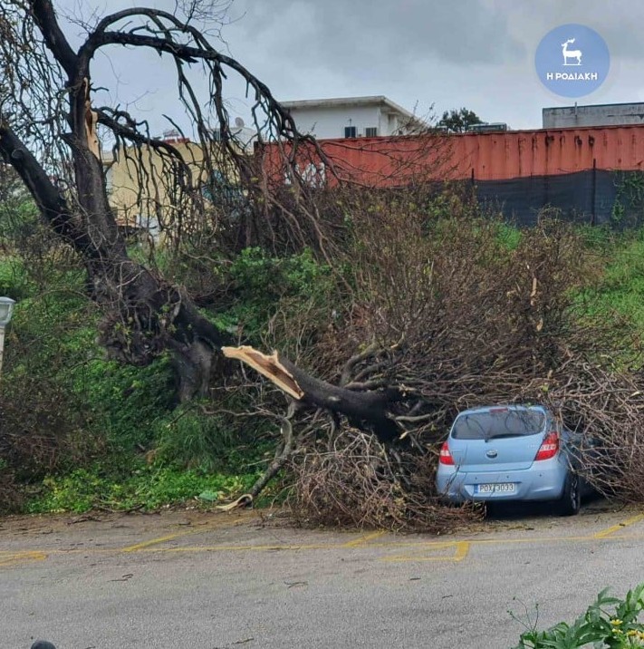 Ανεμοστρόβιλος «χτύπησε» την Ρόδο: Δέντρα έπεσαν σε αυτοκίνητα