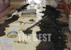 Φούρναρης γέμισε κοπριά το μαγαζί του επειδή του «έκοψαν» πρόστιμο για μάσκα