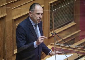 Γεραπετρίτης: «Αντικοινοβουλευτική συμπεριφορά η παράσταση που έδωσε ο Πολάκης»