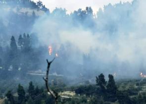 Mεγάλη πυρκαγιά στην Κασσάνδρα Χαλκιδικής (Photos)