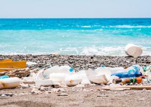 Έρευνα: Δείγματα από 20 παραλίες αποκάλυψαν 100% ύπαρξη πλαστικού