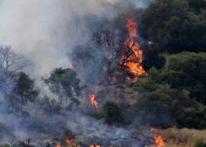 Υπό έλεγχο η πυρκαγιά στην Σκόπελο