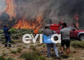 Μεγάλη φωτιά στη Βόρεια Εύβοια - Καίγεται δασική έκταση
