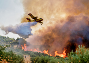 Καλύτερη η εικόνα στο πύρινο μέτωπο της Θάσου -126 πυρκαγιές μέσα σε 24 ώρες