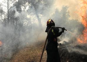 Ρέθυμνο: Υπό πλήρη έλεγχο η φωτιά στον Άγιο Βασίλειο