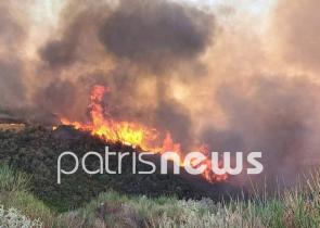 Φωτιά στα Άγναντα Ηλείας: Κοντά στον οικισμό οι φλόγες - Ένας πυροσβέστης τραυματίας (Photos)