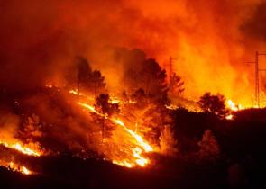 Έρευνα: Η Κλιματική Αλλαγή θα αυξήσει τα επόμενα χρόνια τις δασικές πυρκαγιές παγκοσμίως