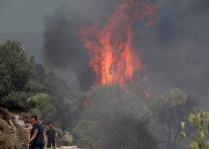 Μαίνονται οι πυρκαγιές σε Λέσβο και Γρεβενά – Χωρίς ενεργό μέτωπο στη Δαδιά