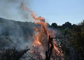 Φωτιές: Kαλύτερη η εικόνα στο Πόρτο Γερμενό και τον Πύργο Ηλείας