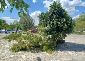 Καλαμάτα: Ανεμοστρόβιλος προκάλεσε ζημιές στο ιστορικό κέντρο της πόλης (Photos)