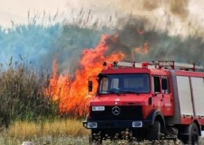 Πυρκαγιές σε Θεσπρωτία και Ηλεία
