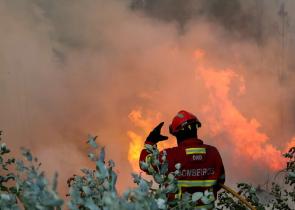 Φωτιές στην Ισπανία: Μάχη με τις συνεχείς αναζωπυρώσεις δίνουν οι πυροσβέστες (Video)