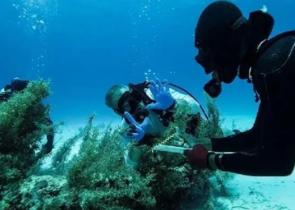 Ατλαντικός Ωκεανός: Θησαυρός τεράστιας αξίας ανασύρθηκε από ναυάγιο 366 ετών (Photos)