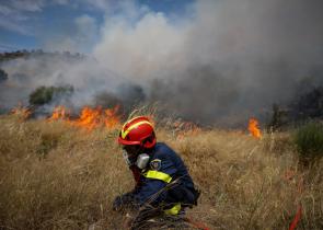 Ηλεία: Φίδι τσίμπησε πυροσβέστη στα Λεχαινά