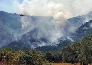 Υψηλός κίνδυνος πυρκαγιών την Τετάρτη σε 16 περιοχές - Στην «κόκκινη ζώνη» και η Αττική