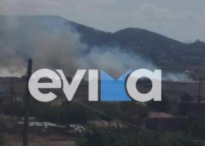 Φωτιά στην Εύβοια – Κοντά σε σπίτια και επιχειρήσεις