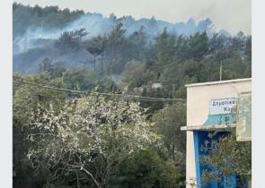 Ζάκυνθος: Δύο νέες πυρκαγιές σε Αγαλά και Μικρό Νησί Βολιμών – Ισχυροί άνεμοι στο νησί