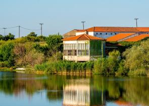 Έβρος: Νεκρή σε γκρεμό βρέθηκε 28χρονη «βασίλισσα του καρναβαλιού»