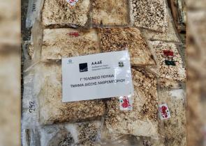 Πειραιάς: Φορτίο με ανανά έκρυβε 420 κιλά κοκαΐνης – Πάνω από 14 εκατ. ευρώ η αξία τους