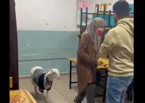 Εκλογές στην Τουρκία: Ψηφίζουν με νυφικά, φορεία, ακόμα και με συνοδεία αρνιού