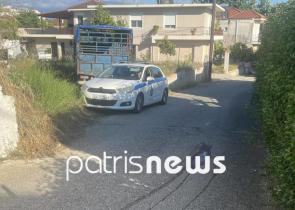Θανατηφόρο τροχαίο στην Ηλεία: ΙΧ παρέσυρε και σκότωσε γυναίκα