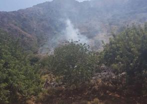 Υπό μερικό έλεγχο η πυρκαγιά σε δασική έκταση κοντά στην Ιερά Μονή Αγίου Γεωργίου ‘Αρμα στην Εύβοια