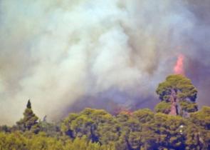 Φωτιά στα Κρέστενα Ηλείας - Καίει δασική έκταση