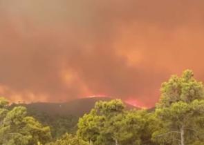 Φωτιά στη Ρόδο: Οκτώ διακομιδές από το ΕΚΑΒ