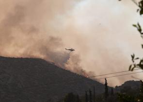 Φωτιά στην Ηλεία: Kράτηση του 65χρονου για απόπειρα εμπρησμού από πρόθεση διέταξε η εισαγγελέας