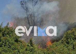 Σε εξέλιξη η φωτιά στην Κύμη Ευβοίας - Ισχυρές δυνάμεις στην περιοχή