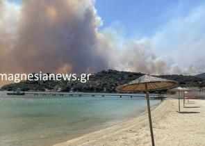 Εκτός ελέγχου η πυρκαγιά στη Μαγνησία: Εκκενώσεις πολλών οικισμών (Videos&Photos)