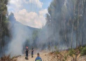 Οριοθετήθηκε η φωτιά σε δασική έκταση στην Ψάθα Αττικής