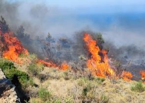 Πολύ υψηλός κίνδυνος πυρκαγιάς για αύριο - Σε «πορτοκαλί» συναγερμό 14 περιοχές