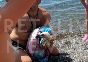 Κρήτη: Εξαντλημένος γύπας από τον καύσωνα έπεσε στην θάλασσα – Τον βοήθησαν οι λουόμενοι