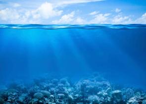 SOS για την υπερθέρμανση των ελληνικών θαλασσών