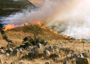 Κέρκυρα: Σύλληψη 76χρονου για την πυρκαγιά στις Αλυκές