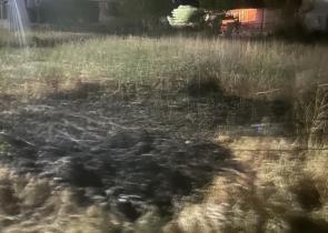 Εύβοια: Καταγγελία για εμπρησμό - Τι είπε ο Διοικητής της Πυροσβεστικής